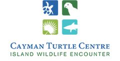 Cayman Turtle Centre