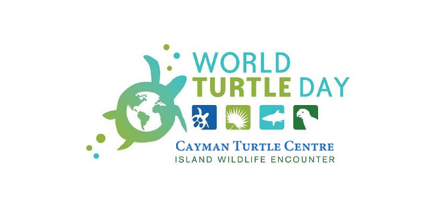 World Turtle Day Poster