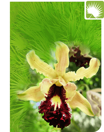 Nature & Cultural Exhibitions