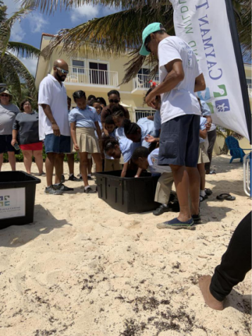 Turtles Released by School Students