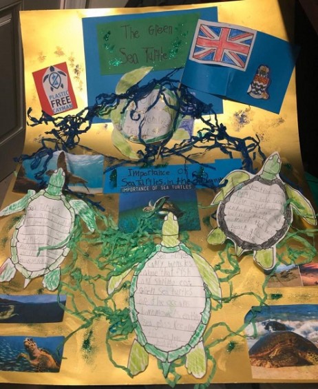 Students participated in Essay and Poster competition to earn an opportunity to escort turtles in a turtle release