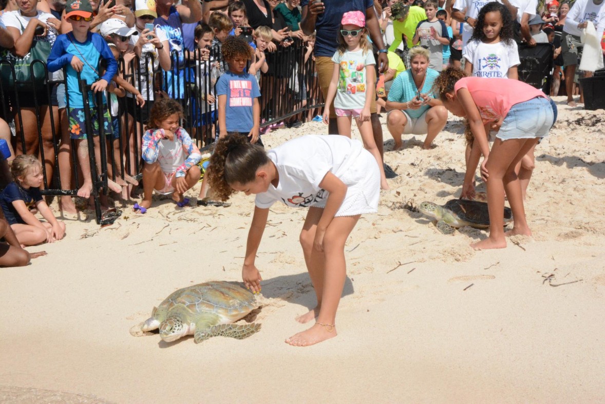 Pirates’ Week Release Marks Turtle Centre’s 50th Anniversary