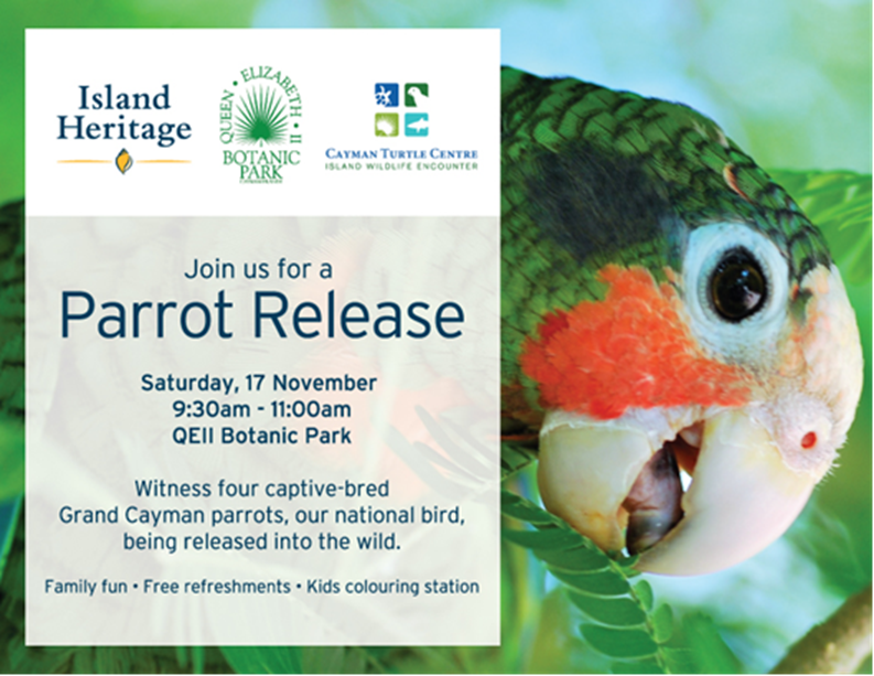 Parrot Release in collaboration with the Island Heritage insurance