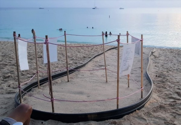 Turtle Nest Watch WhatsApp Group