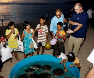 Kids playing with Sea Turtles