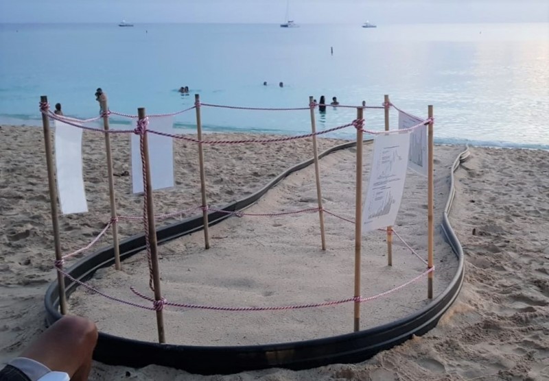 Turtle Nest Watch WhatsApp Group