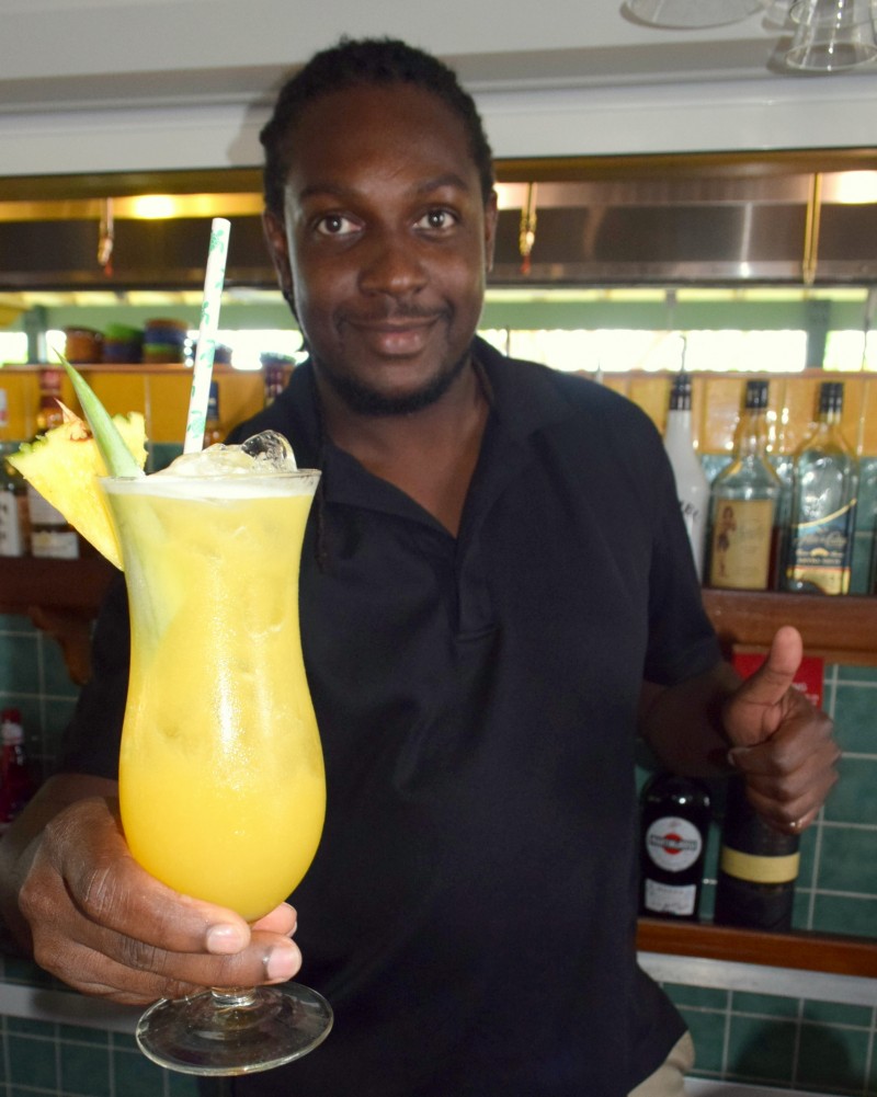 Turtle Tails …at Budgies Pool Bar