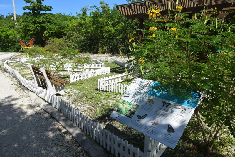 Renovation of Butterfly Garden and Aviary enclosure underway