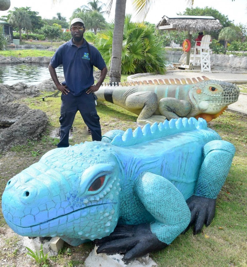 Giant Iguana sculptures