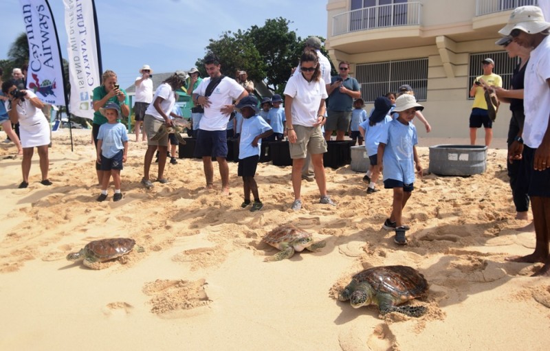 Turtle Centre release kicks off  World Oceans Day celebrations