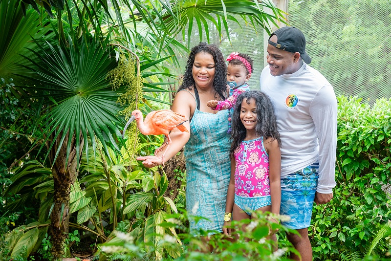 Turtle Centre Adventure Tour_Caribbean_Aviary_013.jpg