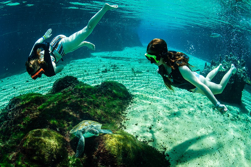 Turtle Centre Adventure Tour_Turtle_Lagoon_012.JPG