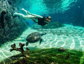 Turtle Adventure Tour