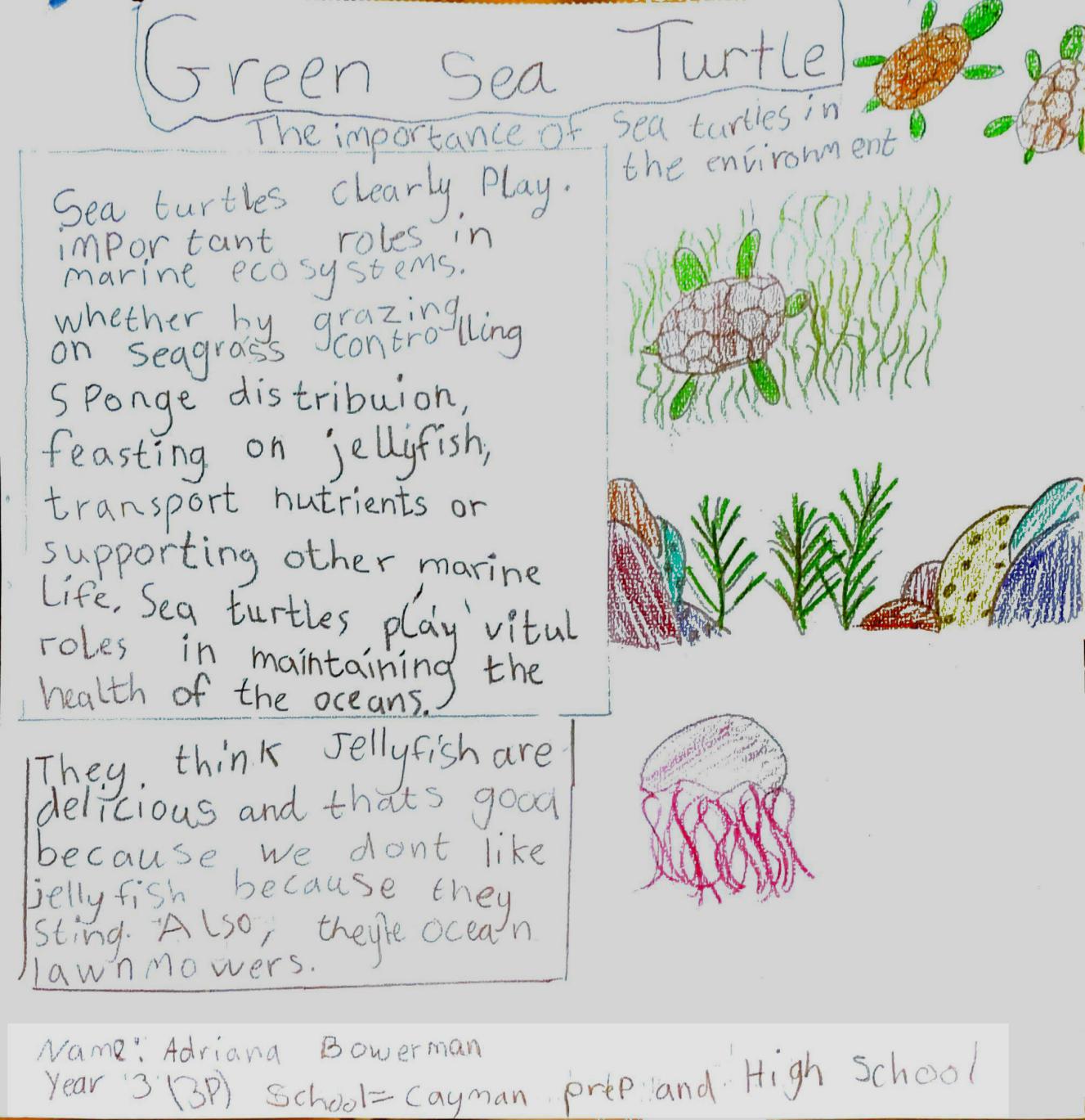 Poster by Adriana Bowerman Poster by Adriana Bowerman