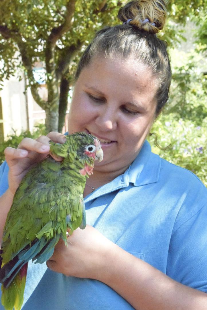Education Officer Shona McGill with Cayman Parrot. Education Officer Shona McGill with Cayman Parrot.