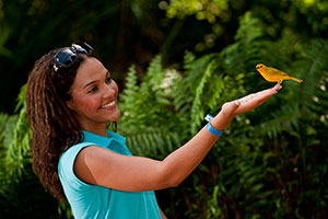 Explore nature in Cayman