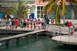 The Bridge above Predator's Reef