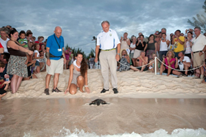 Releasing the Turtles back into the ocean